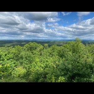 Meet your Posher, Allyson